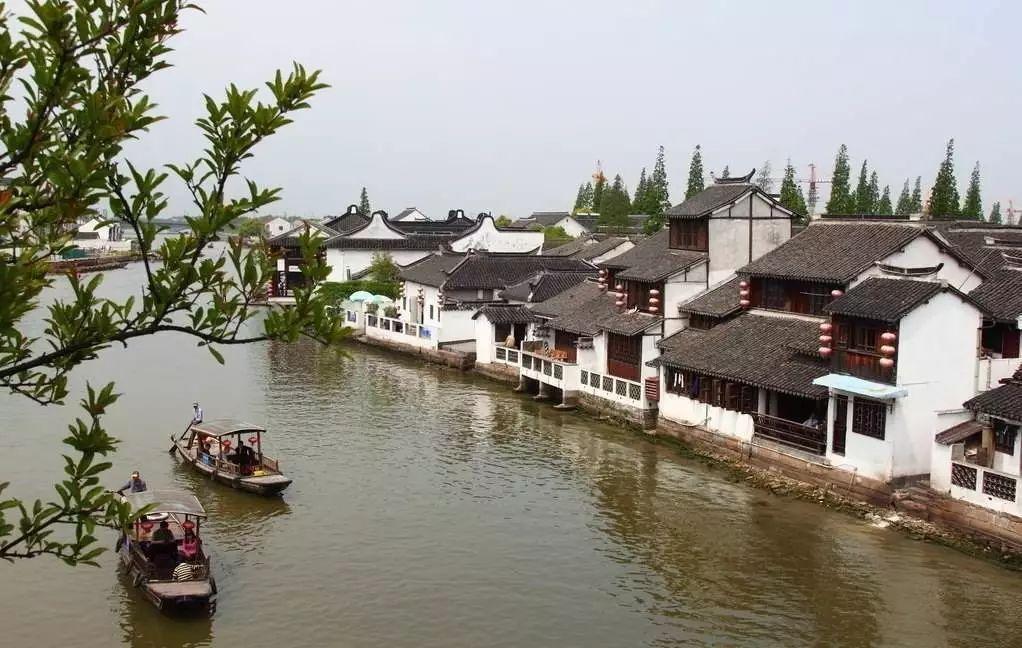 柳岩酷炫黑西装造型 亲近自然享受新疆美景